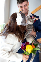 382A5156