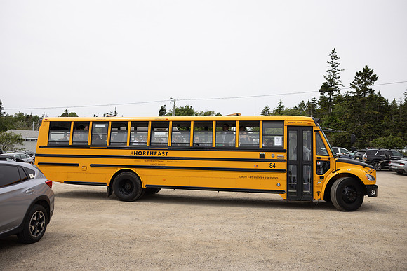 382A6951