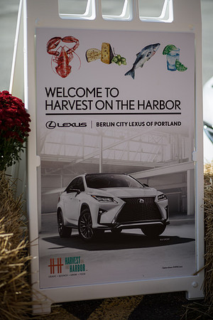 Lexus-0006.jpg
