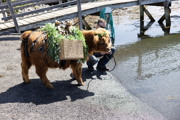 382A0419