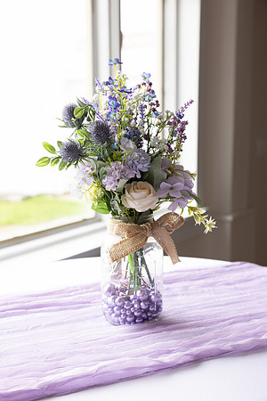 382A6661