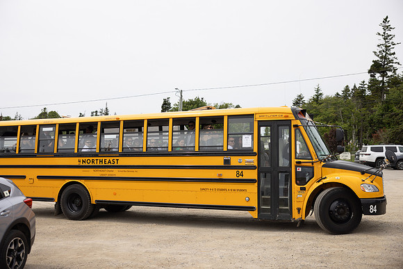 382A6950