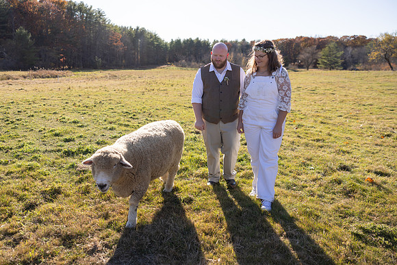 382A2729