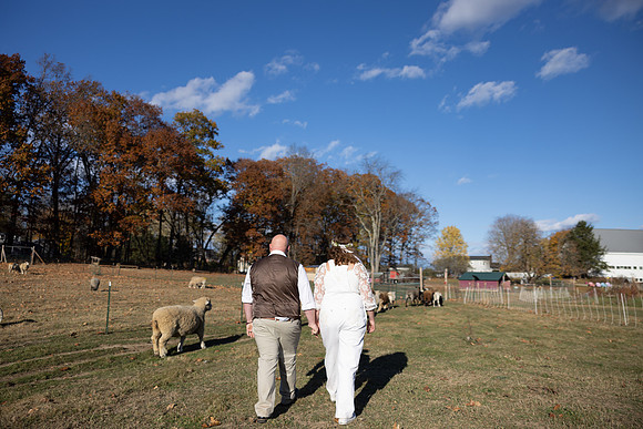 382A2777