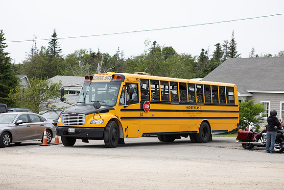 382A6949